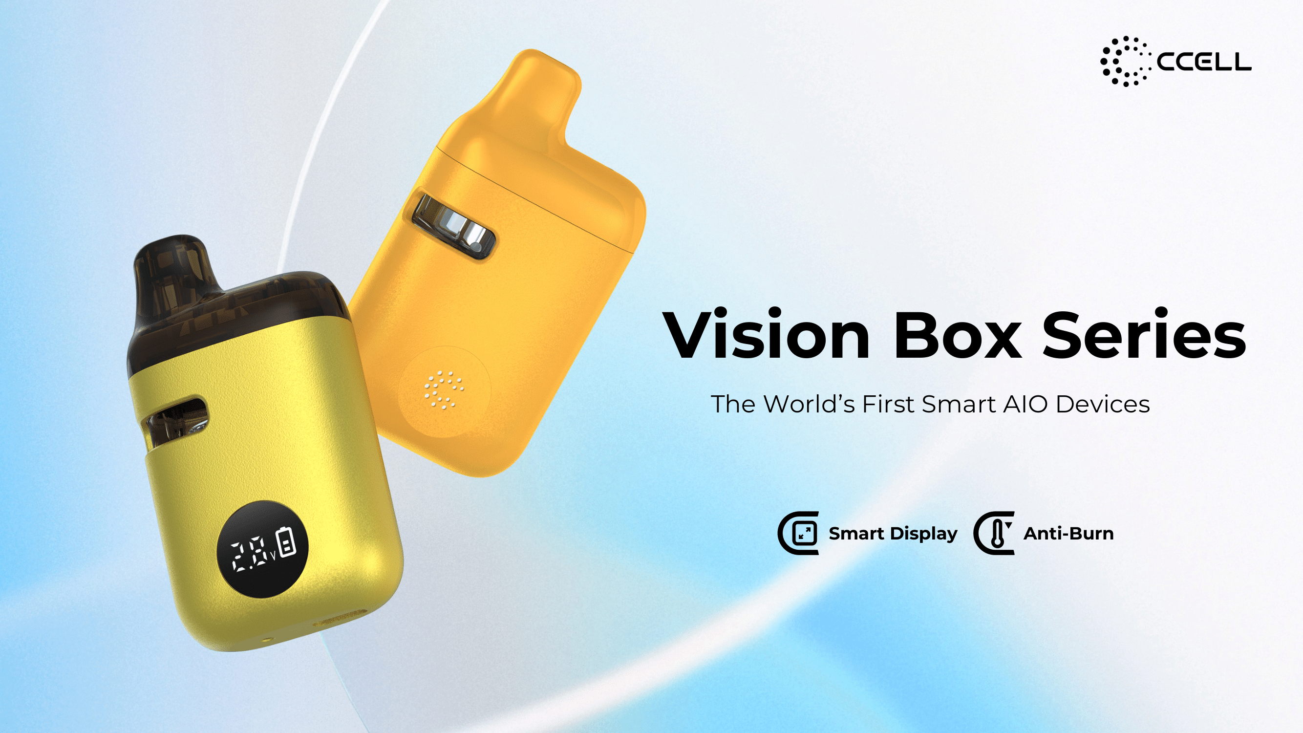 2025_Updated Vision_Box_Launch_File-1